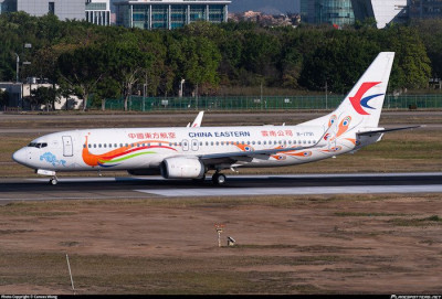 china_eastern_airlines_boeing_737_89pwl_planespottersnet.jpg